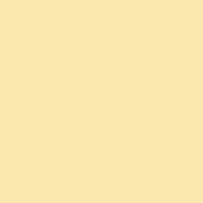 SUNSEEKER - Cropped Longsleeve Blouse • Lemon